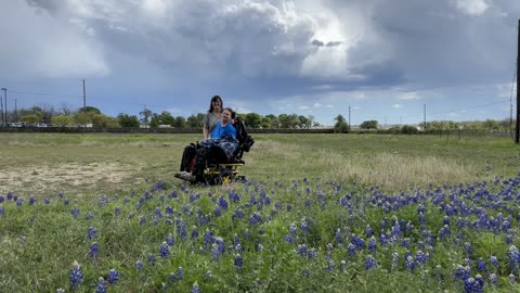 Fredericksburg blue bonnets