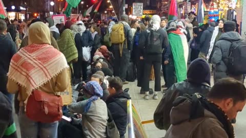 Palestine Protest Brooklyn New York Gaza