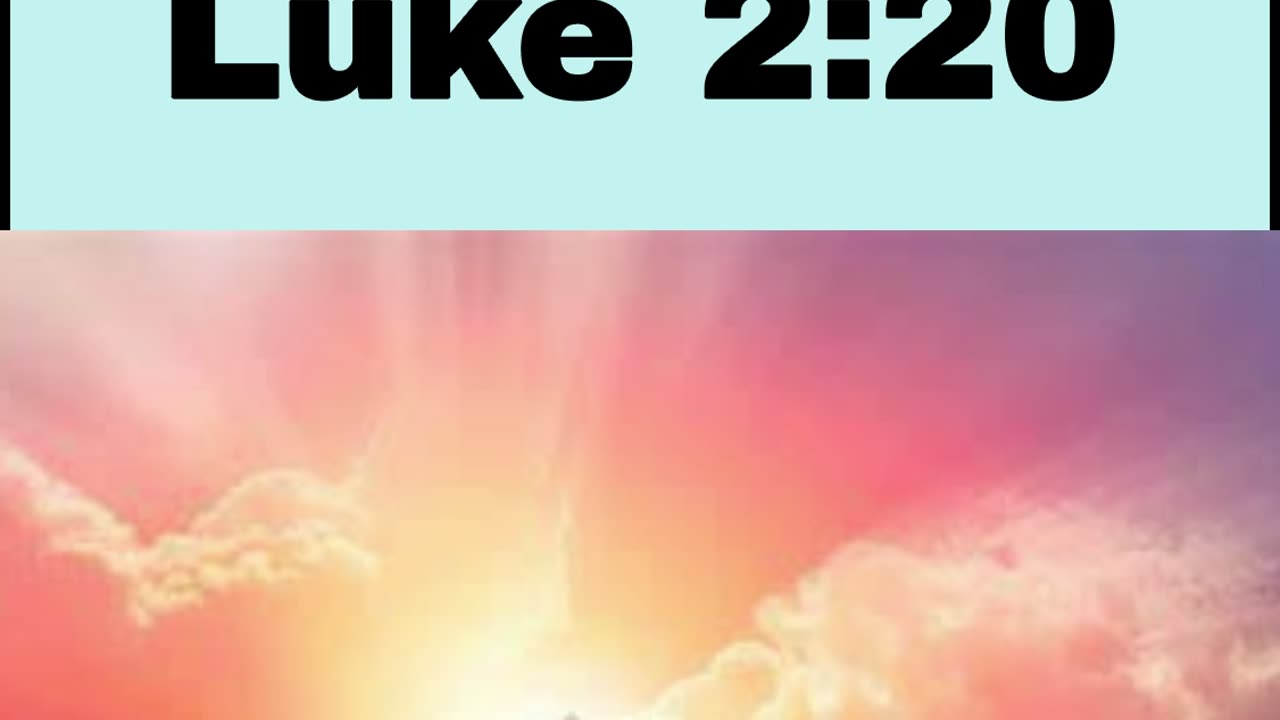 Daily Bible Verse - Luke 2:20