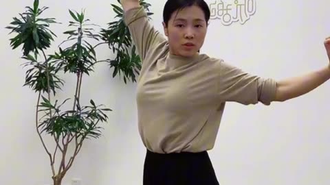0169.平衡樁小燕飛