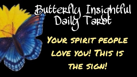 Butterfly Insightful Daily Tarot - your spirit people love and forgive you this is the sign!