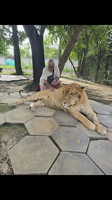 Twin stop getting in your own way !!!