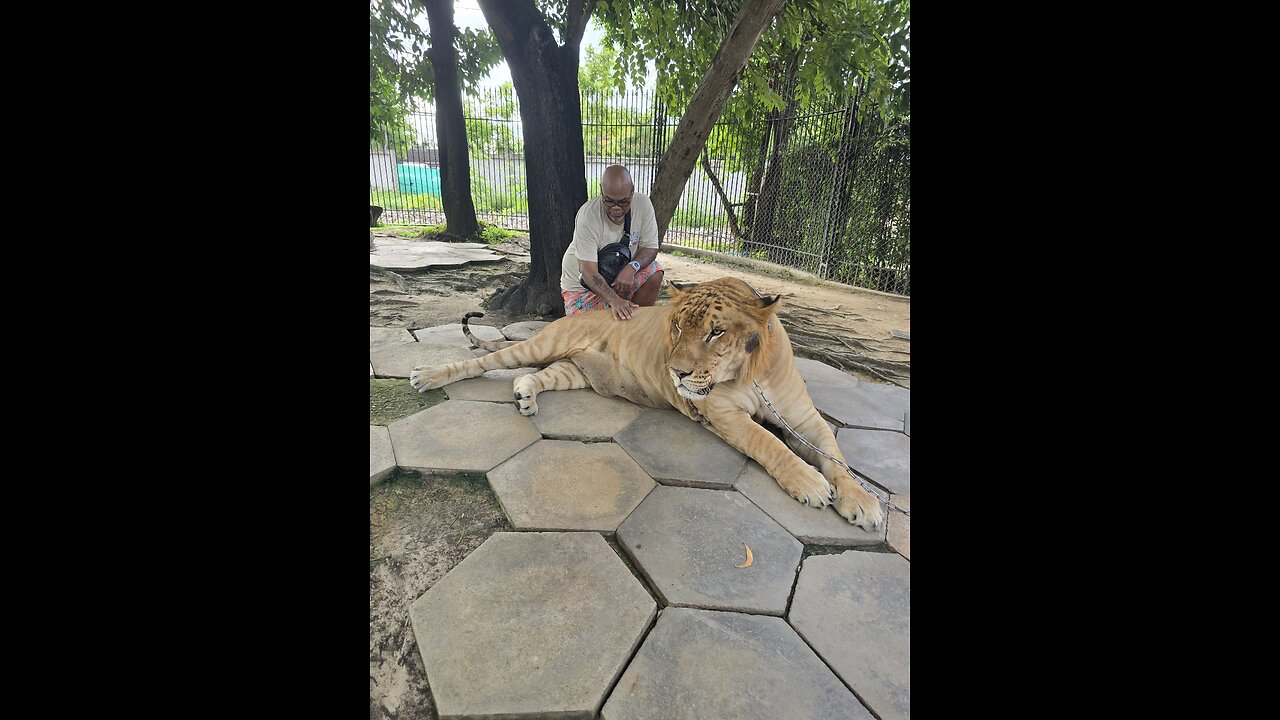 Twin stop getting in your own way !!!