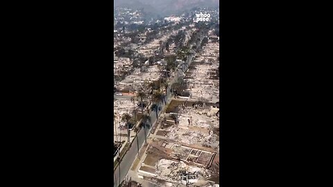 LA fires aftermath