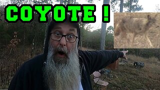 Coyote Attack In Broad Daylight!!! | Unboxing Gifts | THANK YOU Arkansas homestead chickens cats