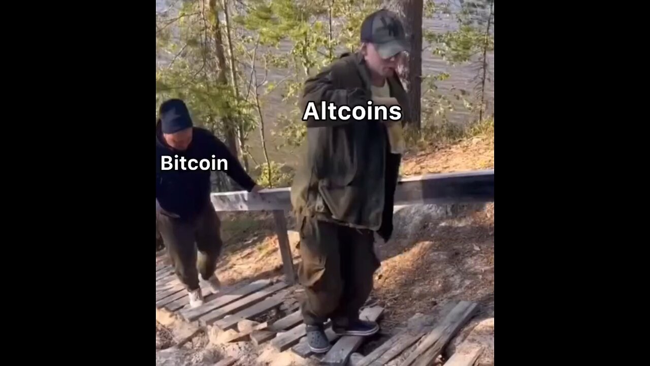 Bitcoin VS Altcoins Memes | Funny Video