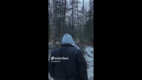 Walking in the woods #Subscribe #Alaska #Outdoors #Nature #Hiking #Camping #DJI #Neo #Fyp #Trending