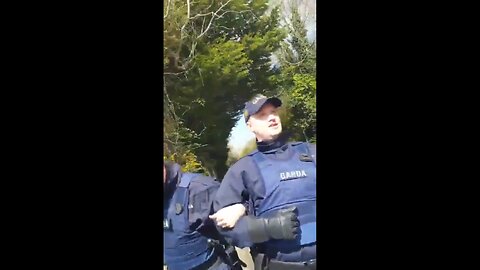 Illegal Immigrants - Police bring non-Europeans into Ireland