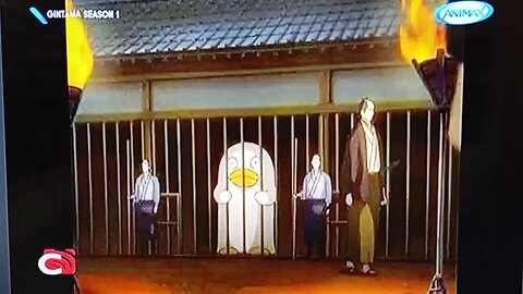 Animax Gintama