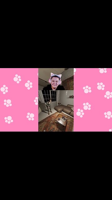 I Asked for a Sign, and Instantly Regretted It!