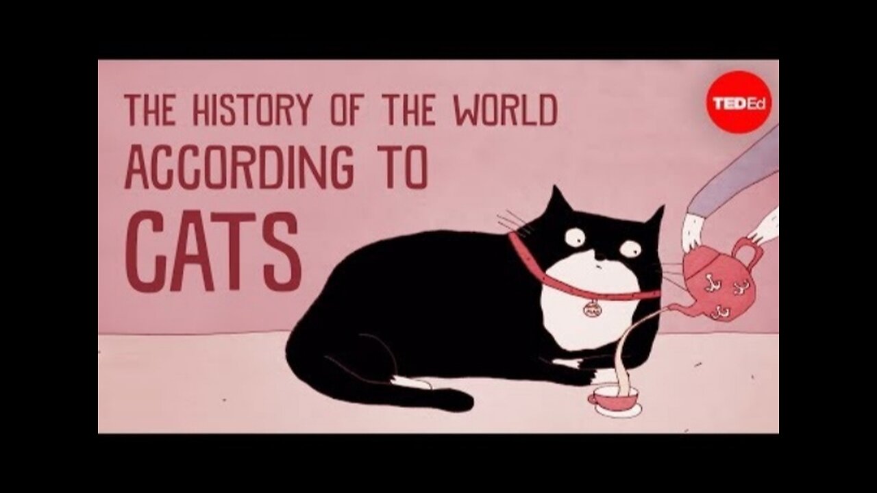 The History of the World :According to Cats