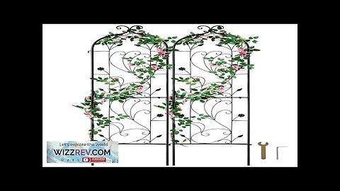 2 Packs Metal Garden Trellis for Climbing Plant Support 60x15 in Rustproof Review