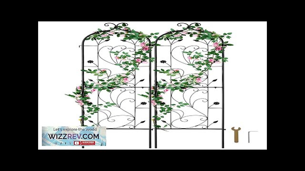 2 Packs Metal Garden Trellis for Climbing Plant Support 60x15 in Rustproof Review