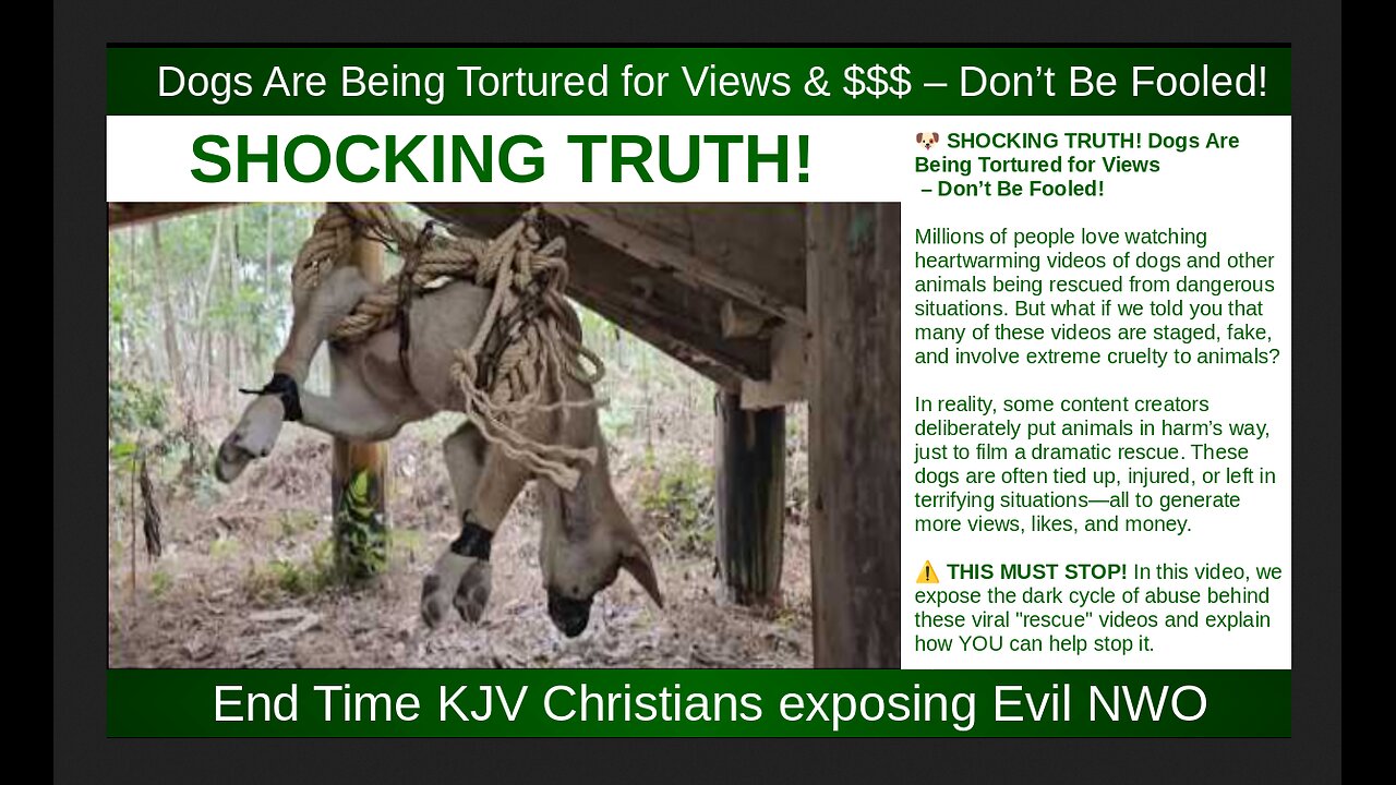 Dogs Are Being Tortured for Views & $$$ – Don’t Be Fooled!