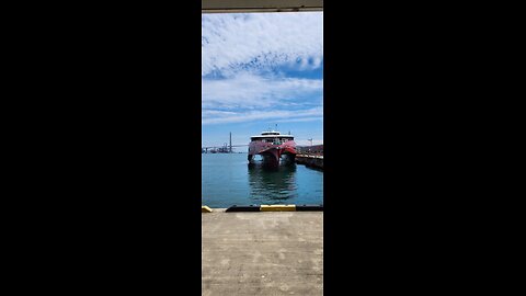 Queen Jr Beetle Ferry 1st-class from Japan to Korea!!