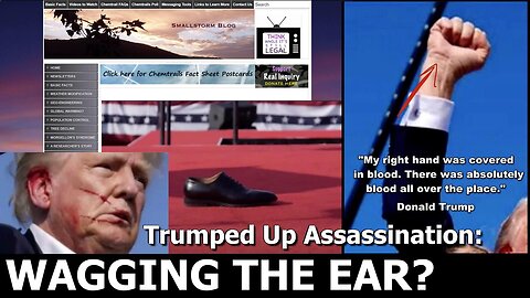 [Jul 20, 2024] The Trumped Up Assassination: Wagging the Ear? [MixedNutsPodcast]