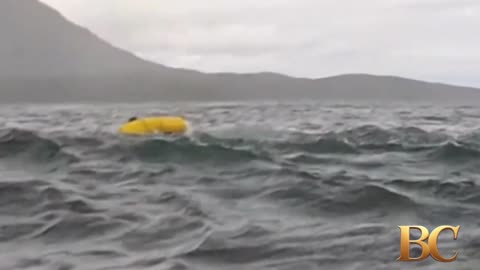 Whale swallows kayaker in terrifying footage