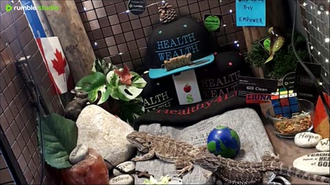 ⭕2025 Live Stream Day 11🔴 🍏Healthy4Life🐉 Mascots 🍎🐲 Meet Kobe & Health A Day In The Life Of Bearded Dragons🐲Day11🐉⭕Live🦎Stream🔴