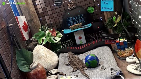 ⭕2025 Live Stream Day 11🔴 🍏Healthy4Life🐉 Mascots 🍎🐲 Meet Kobe & Health A Day In The Life Of Bearded Dragons🐲Day11🐉⭕Live🦎Stream🔴