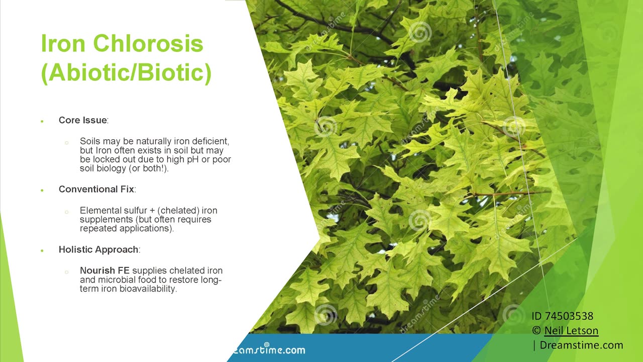 Organic Approach Plant Health Care Symposium Presentation