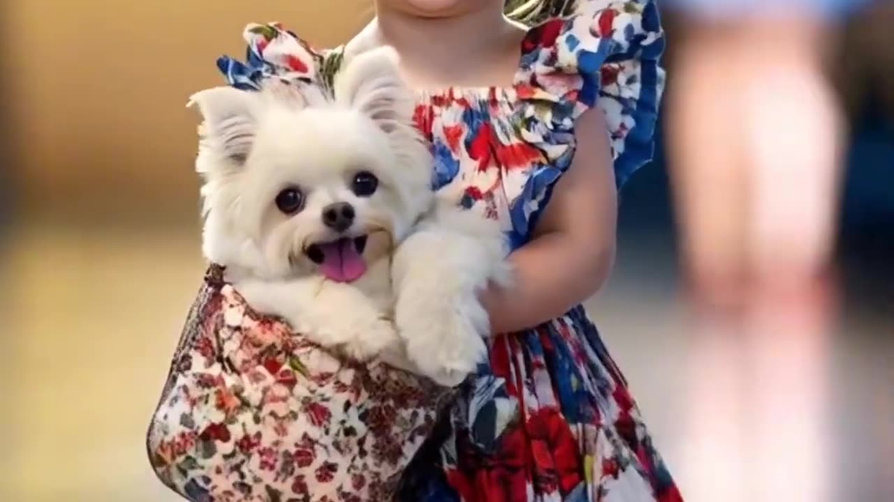 baby fashion show#baby #babyfasion #cutebaby #aibaby #shorts