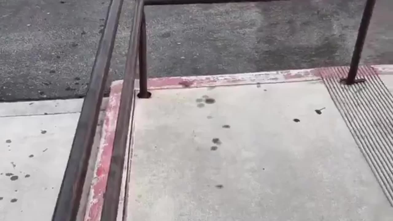 That can head shot was so satisfying 😂