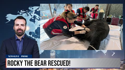 Rocky the Bear’s Incredible Rescue!