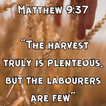 Matthew 9:37