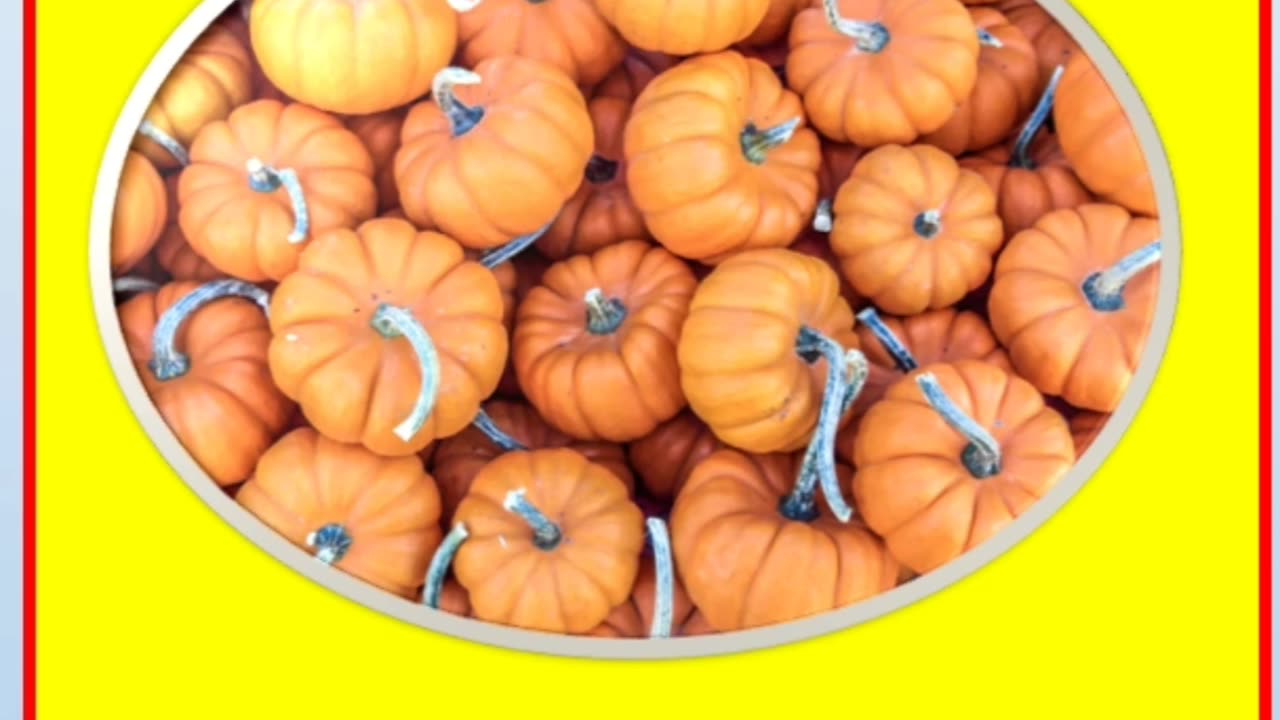 Vegetables name l ajay grammar techniques
