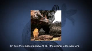 Humanoid Creatures COVER-UP! Accidental Exposure in Thailand 🌙Cryptids Unveiled
