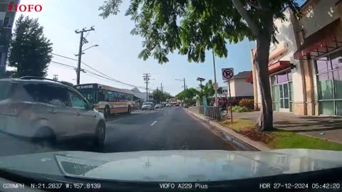 Crazy Driver - Dash Cam-Dog Bark