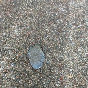 11.1.2025 Centenary Park, Kuranda