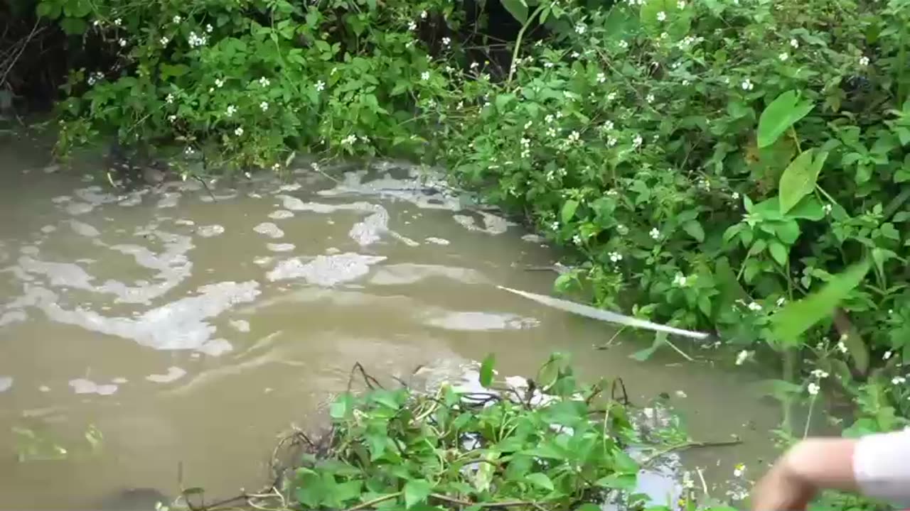 Best Hook fishing. Beautiful Nature Fishing Girl with Fishing Hook(1)