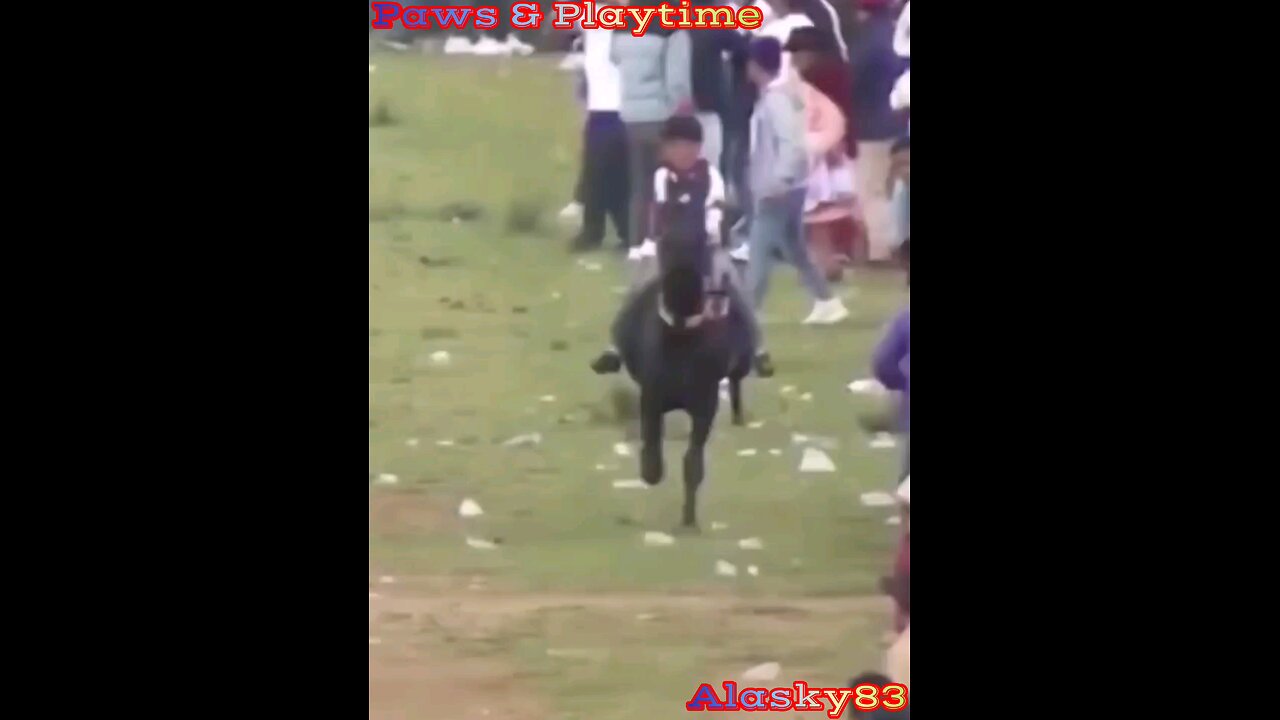 LOOK WHAT HAPPENED TO THAT MAN FOR BEING IN THE MIDDLE OF THE HORSE RACE😱😱😱