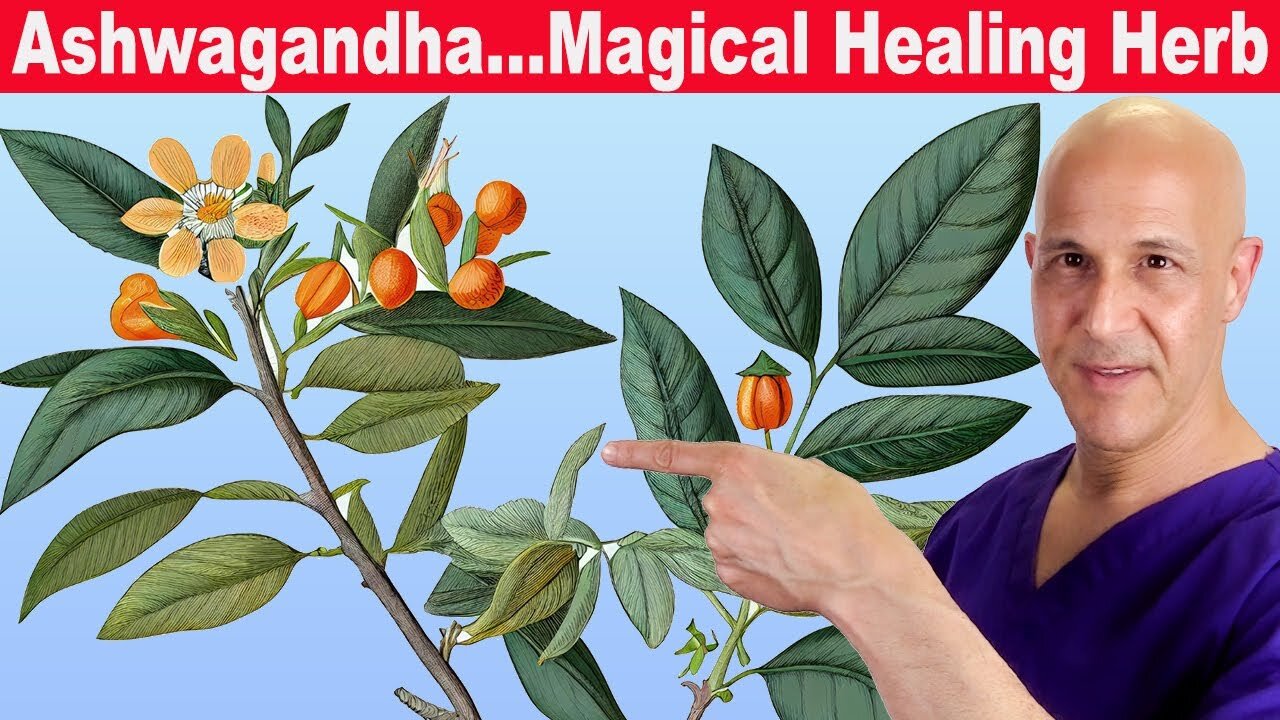 Ashwagandha: Balance Glucose, Insulin, Stress, Thyroid, and Immunity | Dr. Mandell