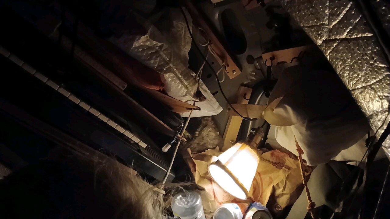 chickens gonna rise again (take two)