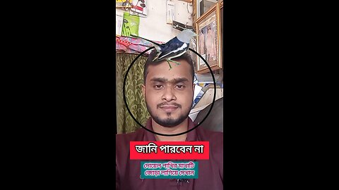 দোয়েল পাখির মাথাটির লাগিয়ে দেখান #shorts #puzzle #viral #challenge #viral