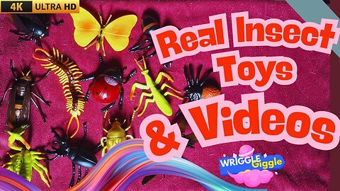 "Buzzing Fun: Insect Rhyme & Learn with Toys & Real Bugs! 🐞🎶" #wrigglegiggle #kids