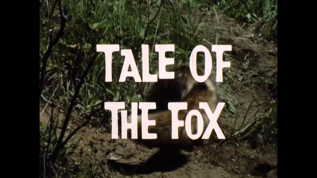 Mutual of Omaha's Wild Kingdom - "Tale of the Fox"