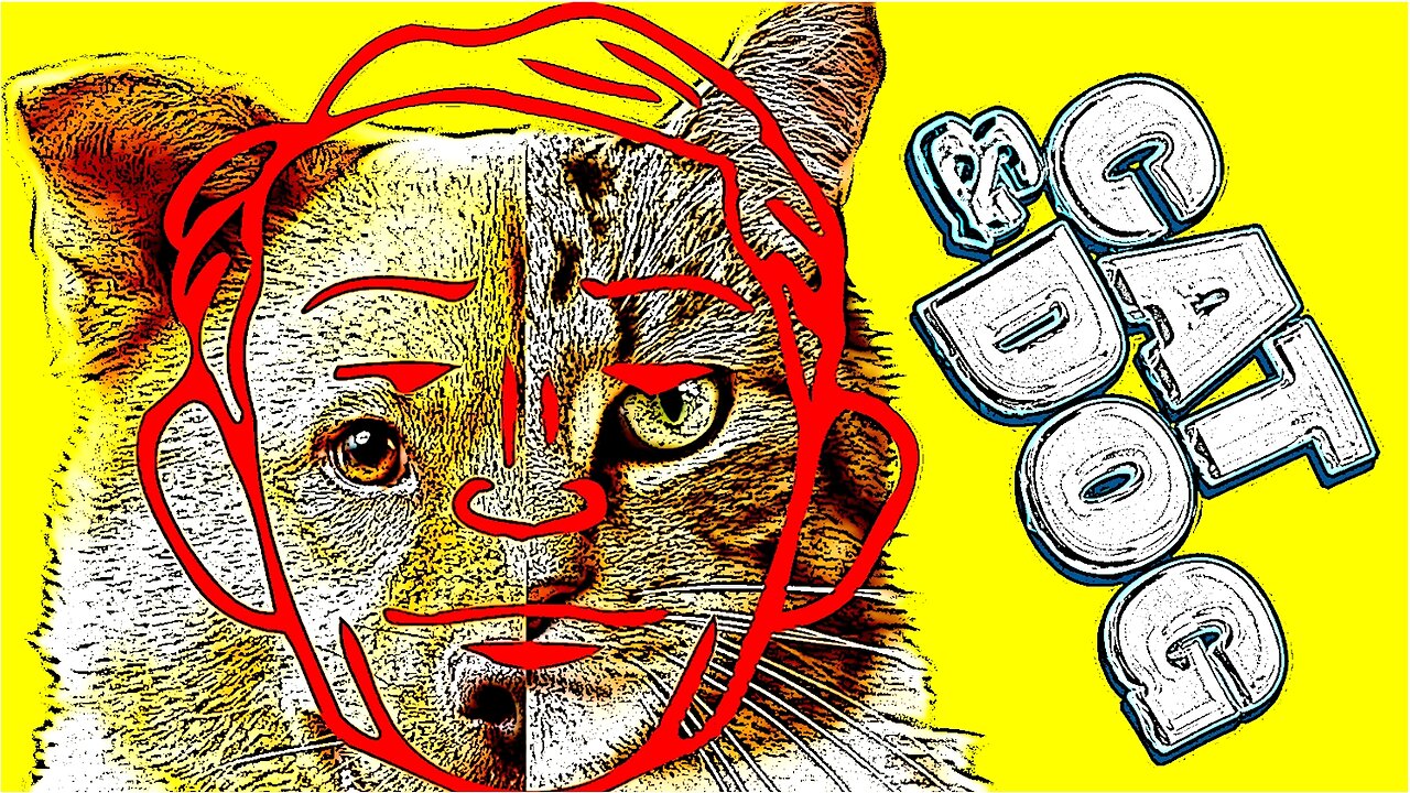 Hund und Katz