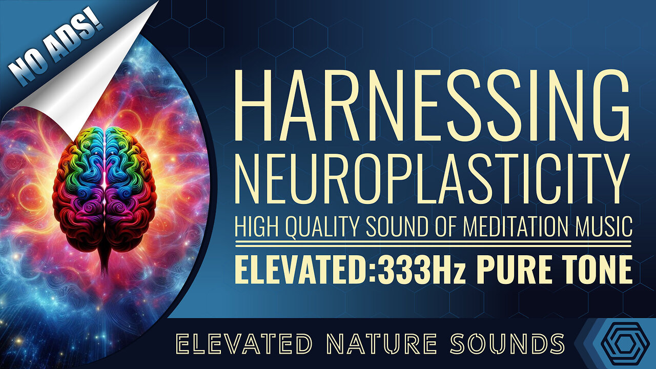 333 Hz Harnessing Neuroplasticity Meditation for Rewiring Your Brain NO ADS