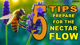 The Flow and How to Prepare | A Beekeepers Top 5 List