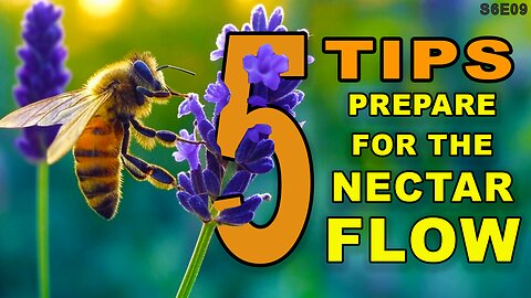 The Flow and How to Prepare | A Beekeepers Top 5 List