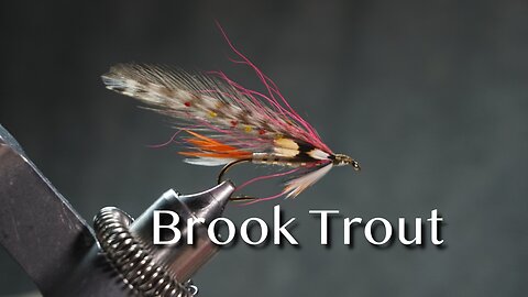 Brook Trout