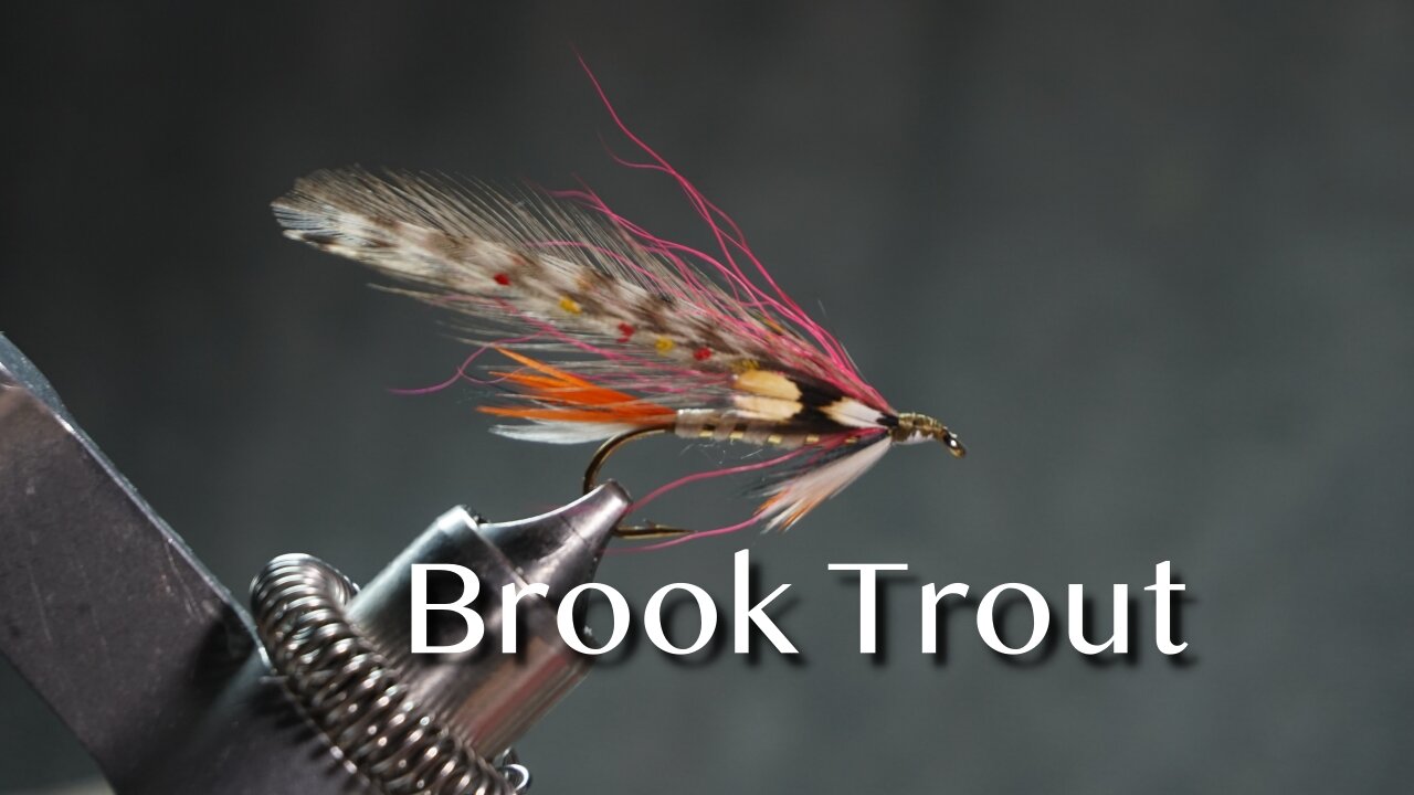 Brook Trout