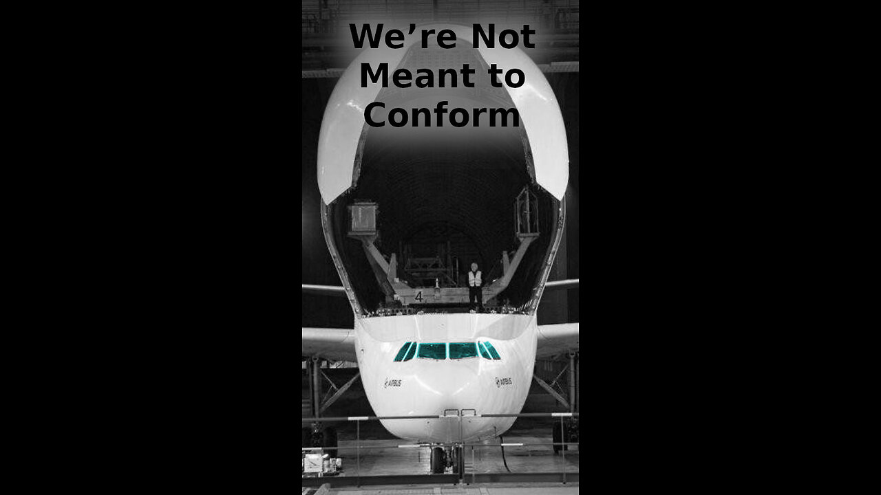 Peter 🍹 285 ~ We’re Not Meant to Conform