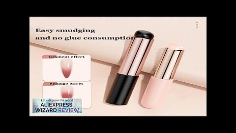 Nail Art Silicone Brush Reusable Universal Mirror Powder Pigment Applying Gradient Shading Review