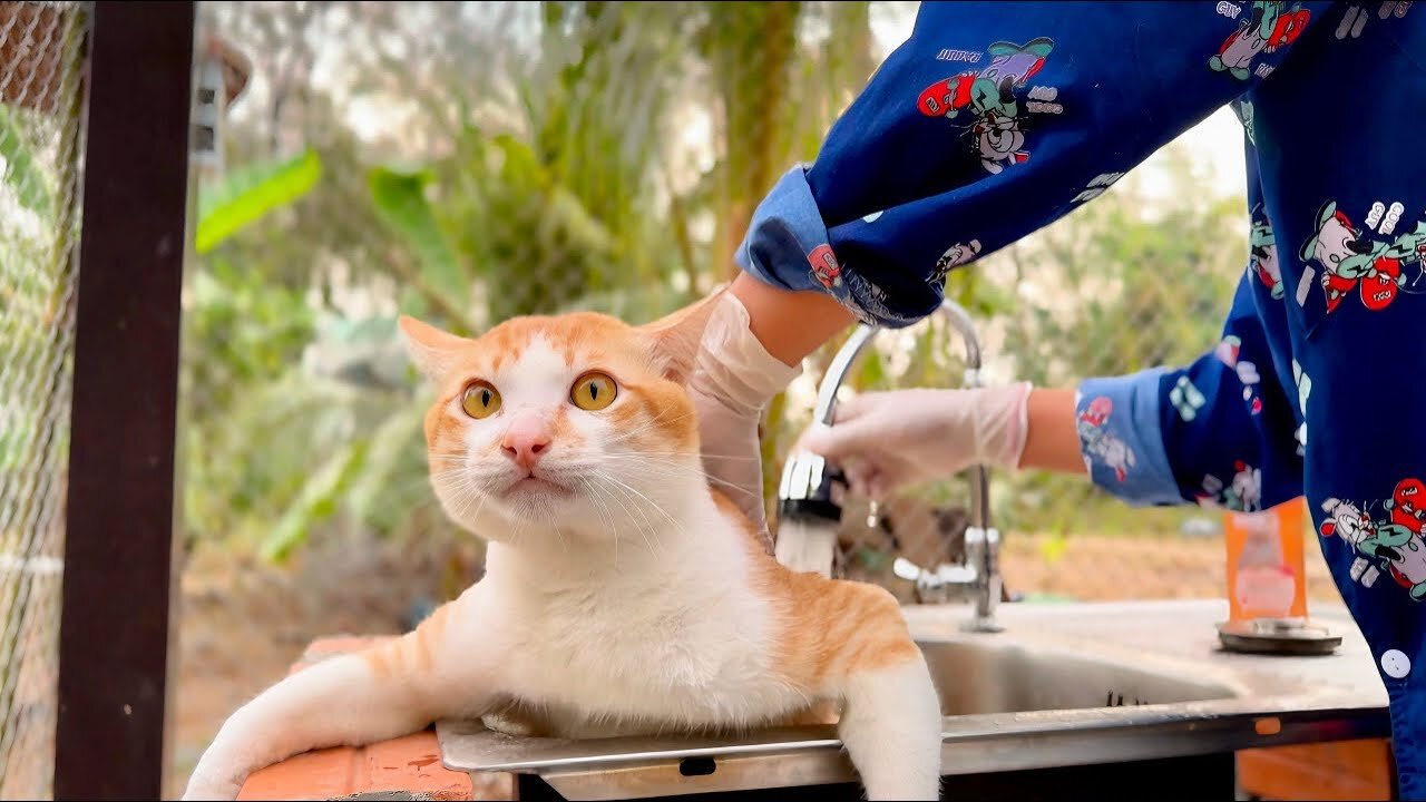 Early Morning Takes a bath- Tony So Excited after taking a bath