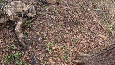 A rest stop with the pigs after storming Pyaterochka