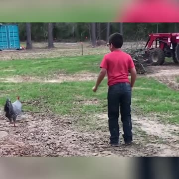 Funniest Animal Videos 😂 | Cute & Hilarious Pets Compilation!